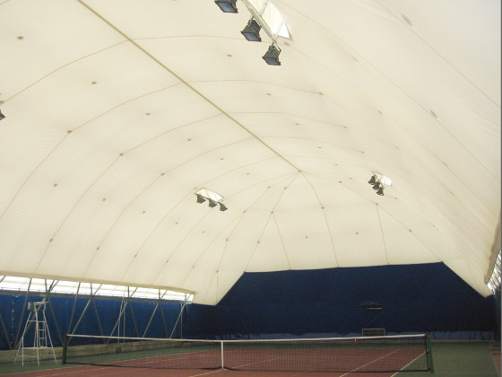 Pallone con struttura geodetica